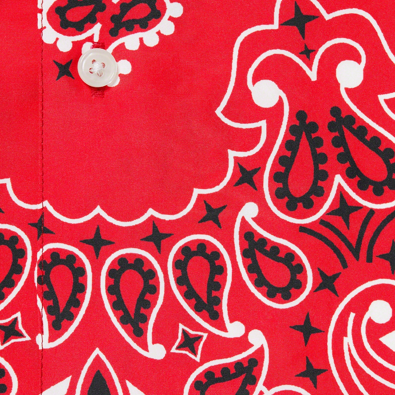 Bandana Silk S/S Shirt view 7